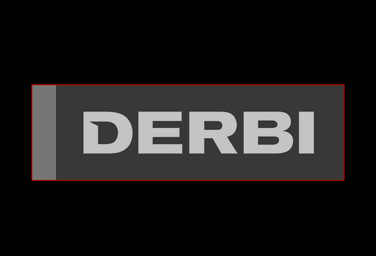DERBI BODY PATS