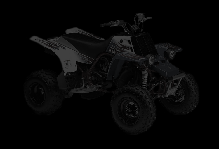 BANSHEE350